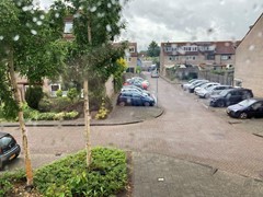 IMG_4694.jpeg