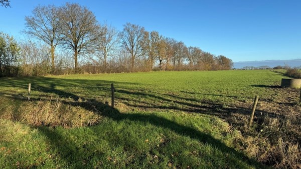 Medium property photo - Schaarweg, 8326 AK Sint Jansklooster