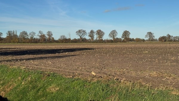 Medium property photo - Schaarweg, 8326 AK Sint Jansklooster