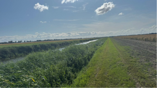 Medium property photo - Noorderringweg, 8314 PE Bant