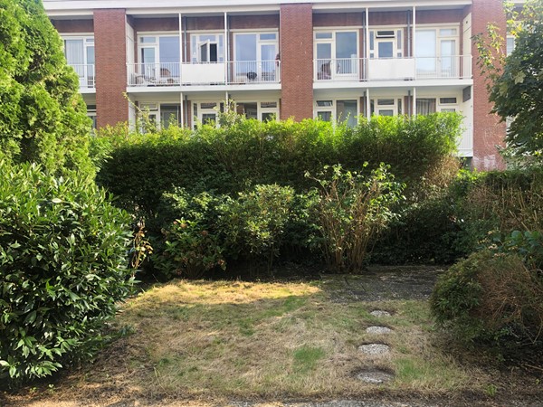 Medium property photo - Theresiastraat, 2593 AK Den Haag