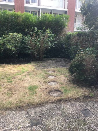 Medium property photo - Theresiastraat, 2593 AK Den Haag
