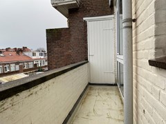 IMG_5377.jpeg