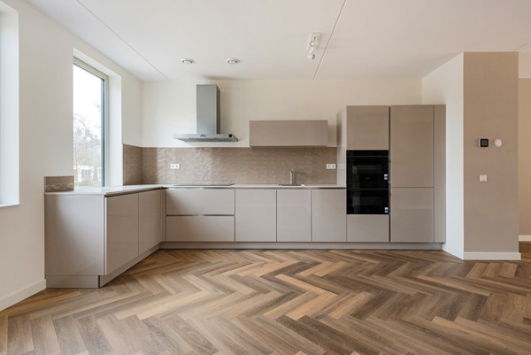 apartments for rent on Schoorlaan