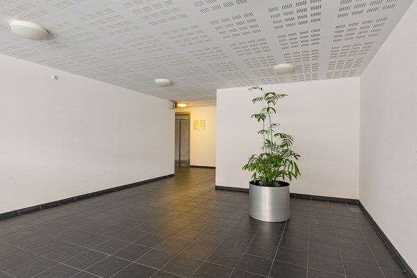 Medium property photo - Johan Huijsenstraat 36, 1087 LC Amsterdam