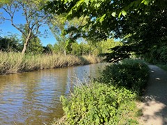 IMG_4738.jpeg