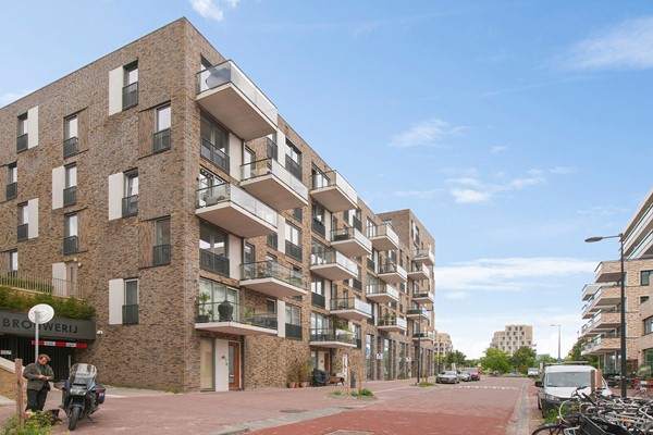 For sale: Nida Senffstraat 11, 1095MX Amsterdam
