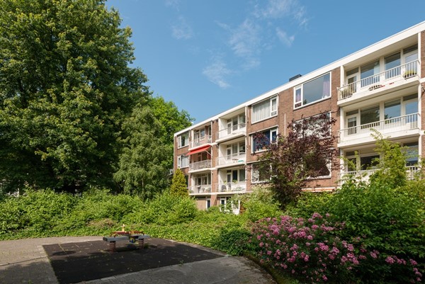 Tussen stad en groen