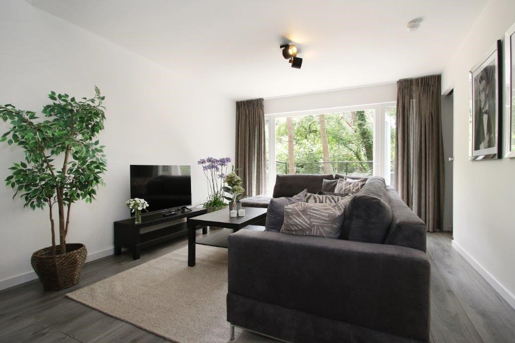 Steenoven, Meijel foto 4