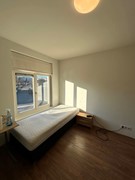 Lijmbeekstraat, 5612 NE Eindhoven - cca5122e-e785-45c5-ab47-6a866b94a079.jpg