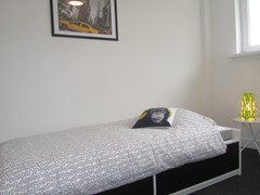 Blaarthemseweg, 5654 NT Eindhoven - kamer2