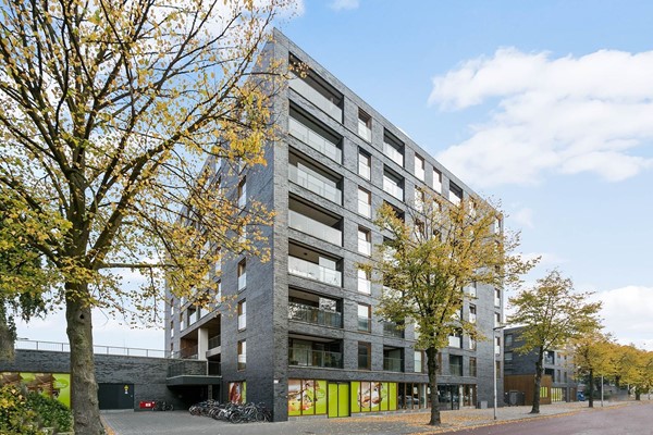 appartementen te huur op Doctor Cuyperslaan 40-14