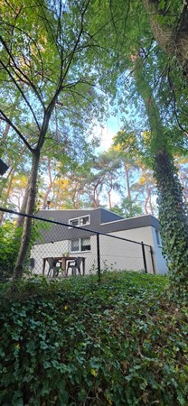 Photo - Rented: Steenoven 12b26, 5768 PK Meijel