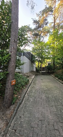 Photo - Rented: Steenoven 12b26, 5768 PK Meijel