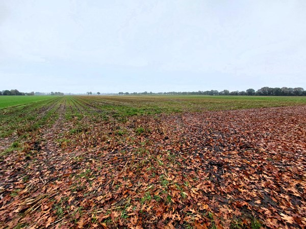Medium property photo - Elzenweg/Roggeweg, 5757 PW Liessel