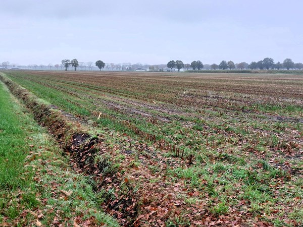 Medium property photo - Elzenweg/Roggeweg, 5757 PW Liessel