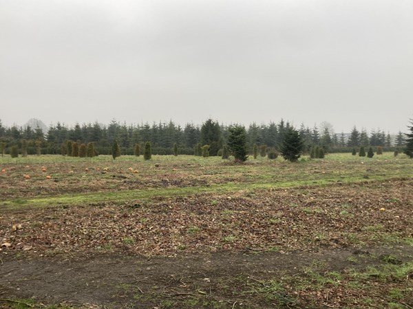 Medium property photo - Oude Dijk, 6035 RM Ospel