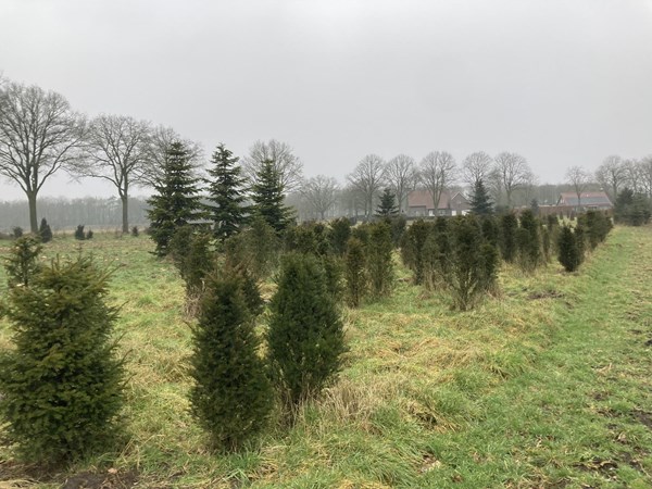 Medium property photo - Oude Dijk, 6035 RM Ospel