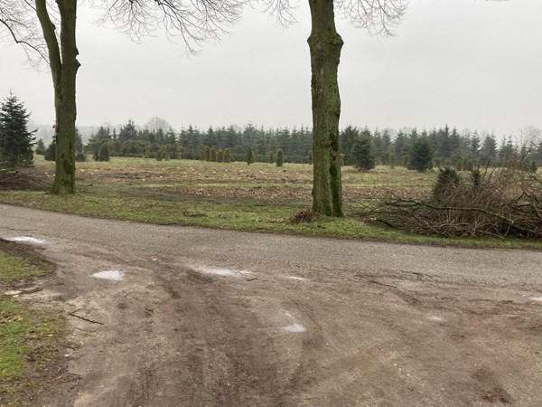 Medium property photo - Oude Dijk, 6035 RM Ospel