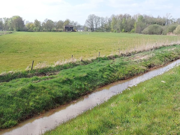 Medium property photo - De Remer/Middenpeelweg, 5984 NK Koningslust