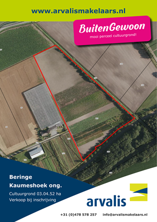 Brochure preview - 