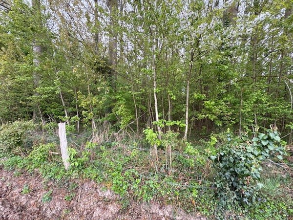 Medium property photo - Pasweg, 6241 CT Bunde