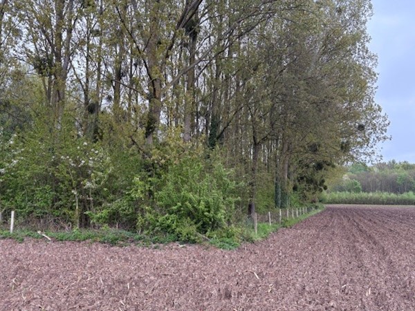 Medium property photo - Pasweg, 6241 CT Bunde