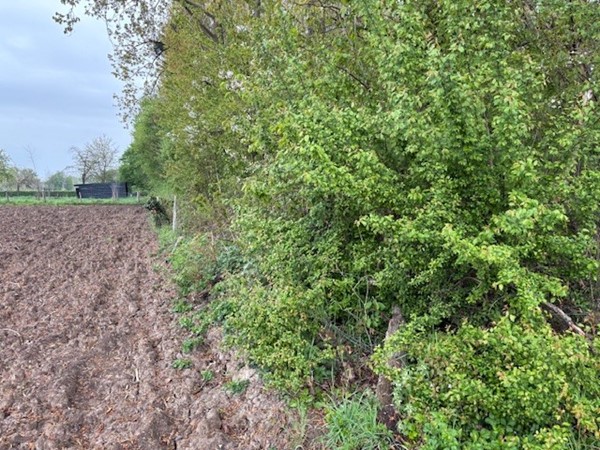 Medium property photo - Pasweg, 6241 CT Bunde