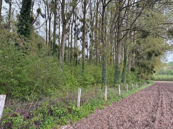 Medium property photo - Pasweg, 6241 CT Bunde