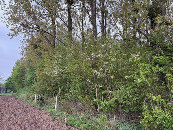 Medium property photo - Pasweg, 6241 CT Bunde