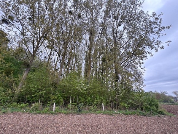 Medium property photo - Pasweg, 6241 CT Bunde