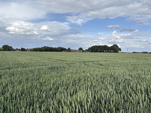 Medium property photo - Beversweg, 6143 AZ Guttecoven