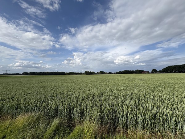 Medium property photo - Beversweg, 6143 AZ Guttecoven
