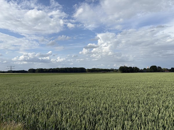 Medium property photo - Beversweg, 6143 AZ Guttecoven
