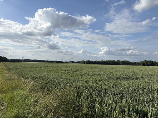 Medium property photo - Beversweg, 6143 AZ Guttecoven