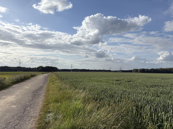 Medium property photo - Beversweg, 6143 AZ Guttecoven