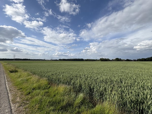 Medium property photo - Beversweg, 6143 AZ Guttecoven