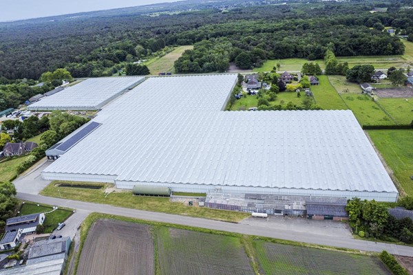 Medium property photo - Beckersweg 44, 5915 PB Venlo