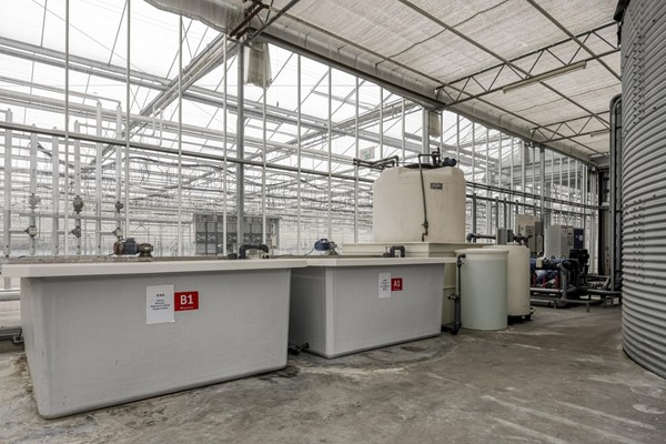 Medium property photo - Beckersweg 44, 5915 PB Venlo