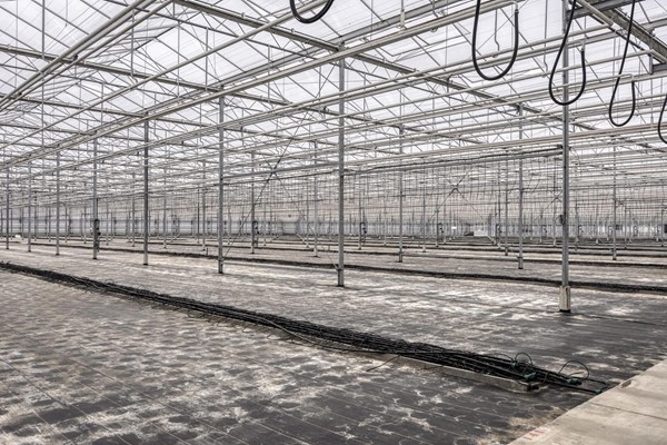 Medium property photo - Beckersweg 44, 5915 PB Venlo