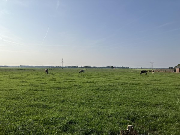 Medium property photo - Rohrstraat, 6086 NB Neer