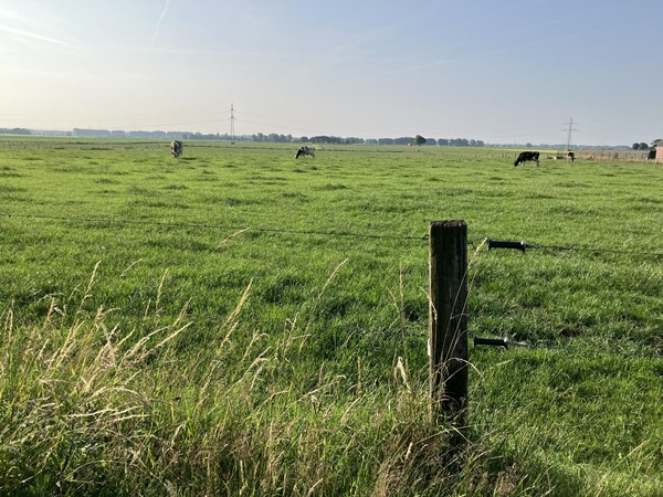 Medium property photo - Rohrstraat, 6086 NB Neer