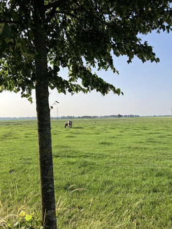 Medium property photo - Rohrstraat, 6086 NB Neer