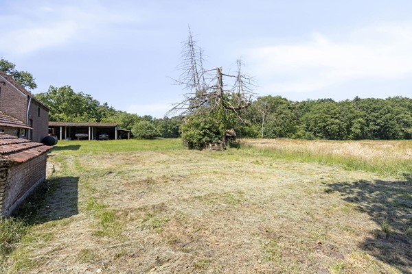 Medium property photo - Stramproyergrensweg 60, 6006 RX Weert