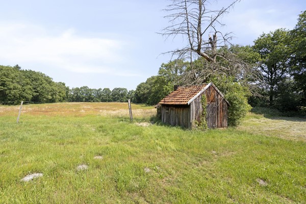 Medium property photo - Stramproyergrensweg 60, 6006 RX Weert