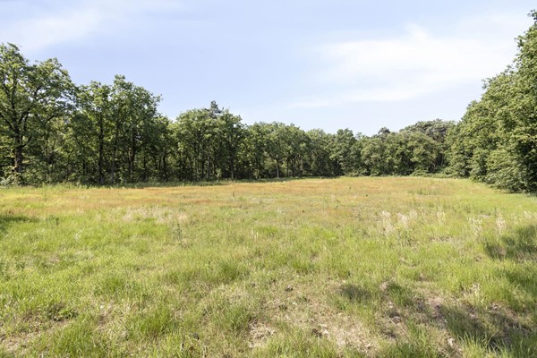 Medium property photo - Stramproyergrensweg 60, 6006 RX Weert