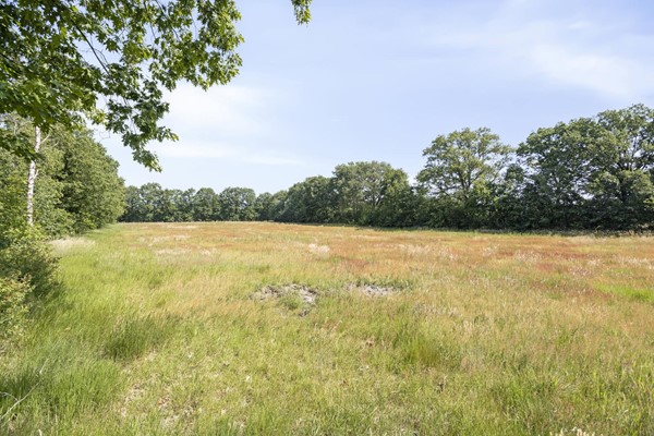 Medium property photo - Stramproyergrensweg 60, 6006 RX Weert