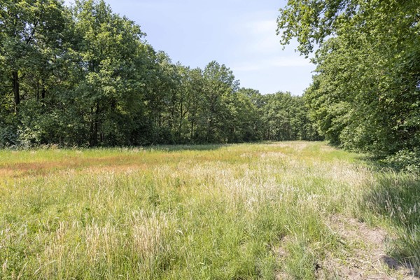 Medium property photo - Stramproyergrensweg 60, 6006 RX Weert