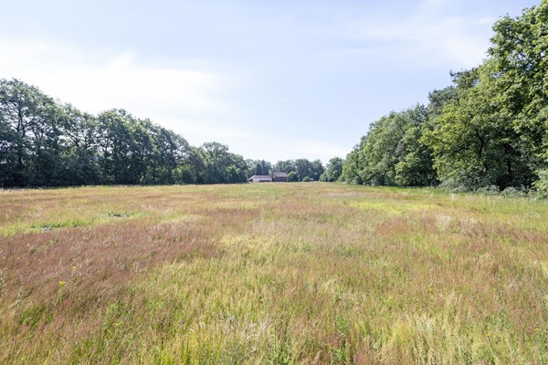 Medium property photo - Stramproyergrensweg 60, 6006 RX Weert