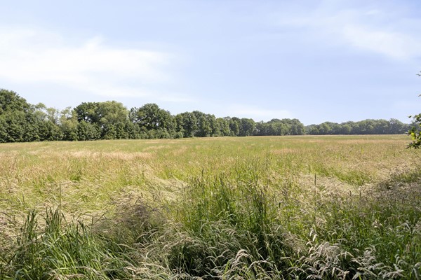 Medium property photo - Stramproyergrensweg 60, 6006 RX Weert